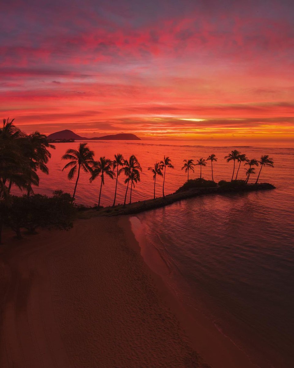 LuoghiDalMondo's tweet photo. Oahu, #Hawaii 🌅 🏝️

📸 spencerlee808 https://t.co/bxliwrCCxs