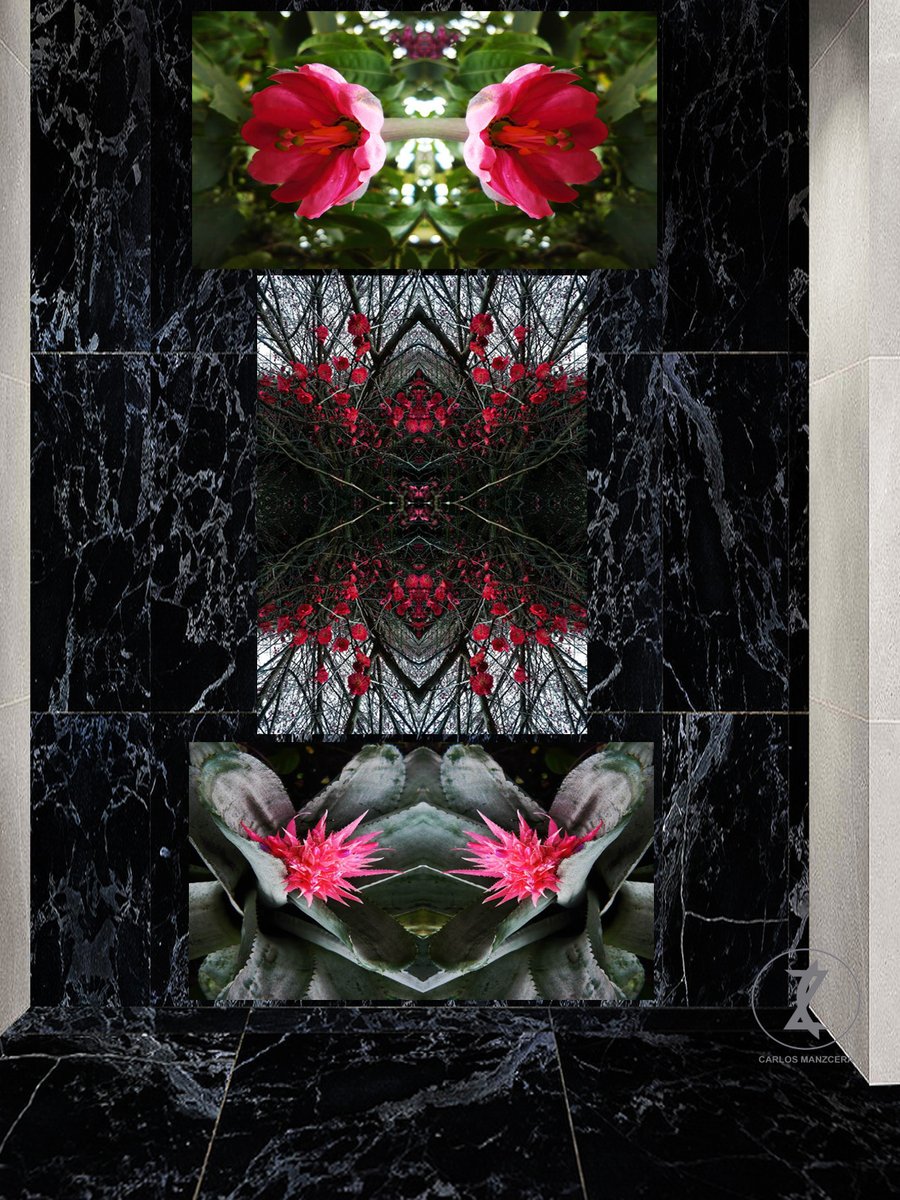 manzcera's tweet photo. From the bowels of mother earth, delicate and beautiful flowers emerge, completing the cycle of life. #photo #photography #independentartists #PictoremFamily #Pictorem #pictoremdecor #canvas #wall #mural #Wallmurals #fineart #photoart #spirituality #gym #architecturaldesing https://t.co/7j3YBP5dVx