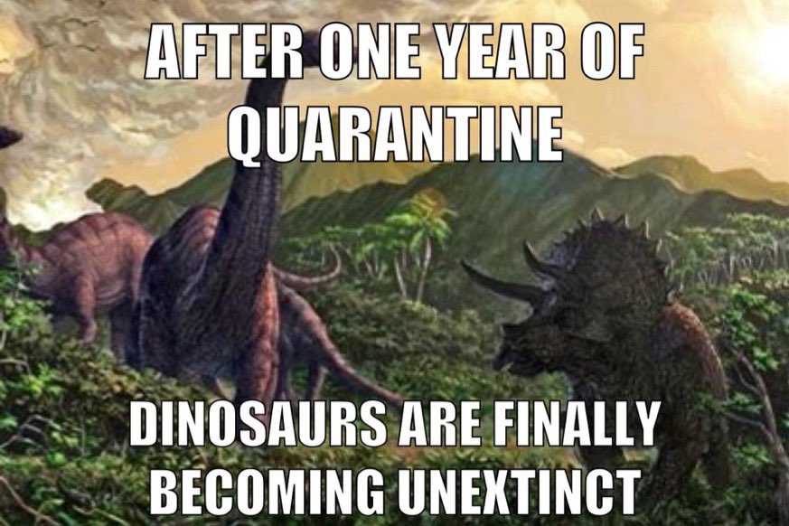 _CryptoSaurus_'s tweet photo. Breaking news! Dinosaurs are unextinct. See the pinned post to win a free CryptoSaurus NFT!!

https://t.co/17MUsvDjpF  

#NFTs #Giveaway #Crypto #CryptoNews https://t.co/WLXsMRzDTx