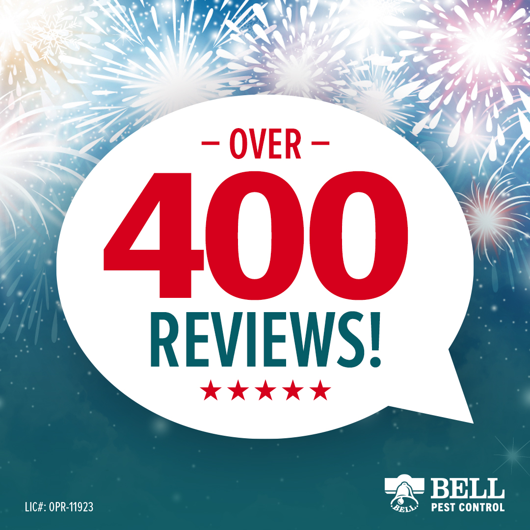 BellPestControl's tweet image. If you are looking for a top rated pest control company in #Sacramento we can help you out. #bellpest #pestcontrol #pestcontrolnearmesacramento #reviews