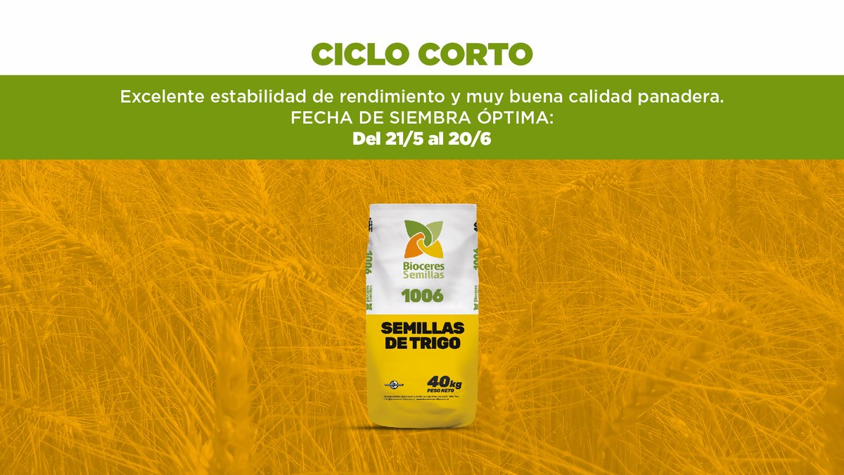 bioceressemilla's tweet photo. Para las regiones NEA y NOA, rindes tremendos.
Sanidad y estabilidad, rindes tremendos. 
BioINTA 1006 y Gingko, rindes tremendos.
🌾👉 Conocé más sobre nuestros #TrigosTremendos para tu zona de siembra acá: https://t.co/AyOyPk1HkD https://t.co/KOd5VCieXN