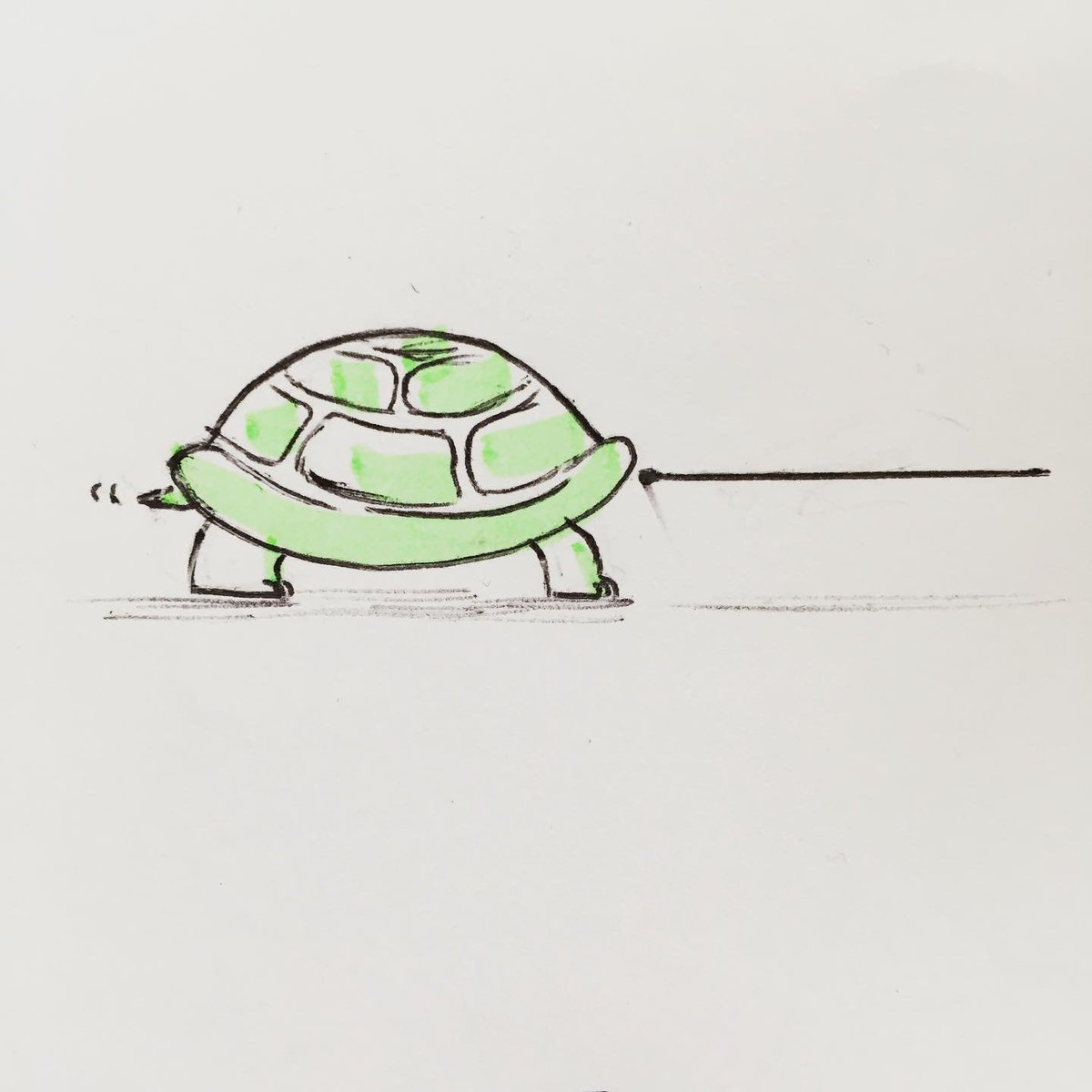 Linwynna's tweet photo. Test pcr d’une tortue 

#TestCovidFR 
#testpcr 
#StaySafe https://t.co/ndXRmjRe85
