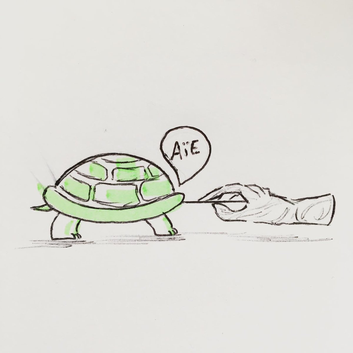 Linwynna's tweet photo. Test pcr d’une tortue 

#TestCovidFR 
#testpcr 
#StaySafe https://t.co/ndXRmjRe85