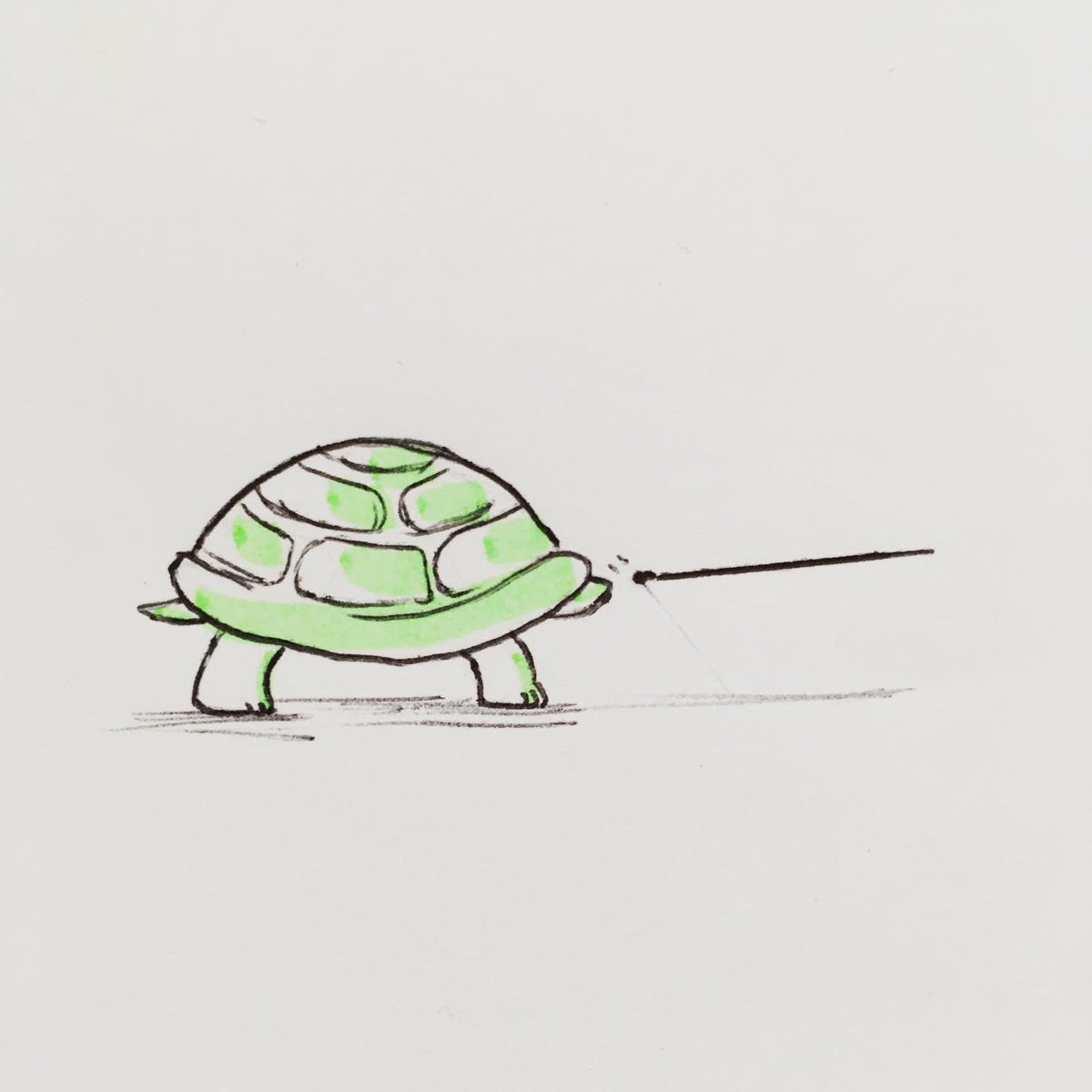 Linwynna's tweet photo. Test pcr d’une tortue 

#TestCovidFR 
#testpcr 
#StaySafe https://t.co/ndXRmjRe85