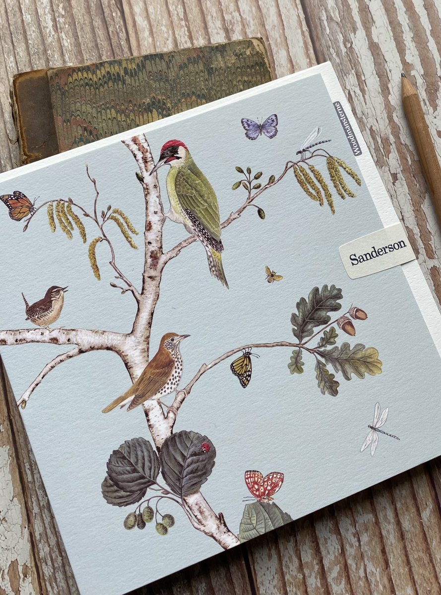 Woodmansterne's tweet photo. NEW! 🌿 We are delighted to collaborate with @SandersonFW to reimagine their iconic designs as greeting cards for the very first time! Since 1860, Sanderson has offered beautiful country inspired interiors with a timeless British sensibility.
#sandersongreetingcards 
#sanderson https://t.co/jo8mODJjfZ