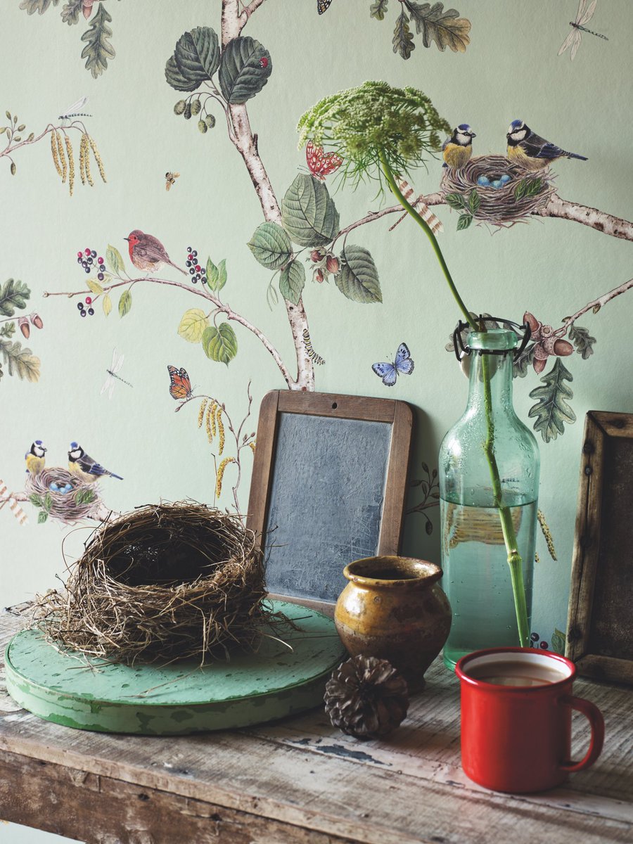 Woodmansterne's tweet photo. NEW! 🌿 We are delighted to collaborate with @SandersonFW to reimagine their iconic designs as greeting cards for the very first time! Since 1860, Sanderson has offered beautiful country inspired interiors with a timeless British sensibility.
#sandersongreetingcards 
#sanderson https://t.co/jo8mODJjfZ