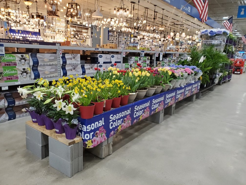 Lowes Hamilton tweet media