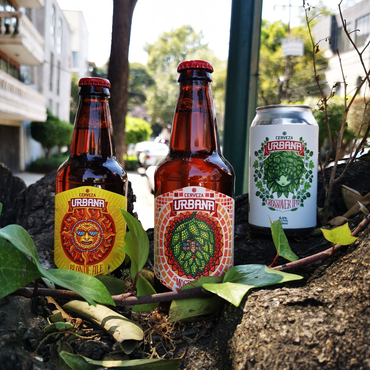 ¡Una de las joyas escondidas de Mexicali!

Llega por fin, Cerveza Urbana! ¡Te prometemos que te vas a enamorar!

- mailchi.mp/thebeercow/ya-…