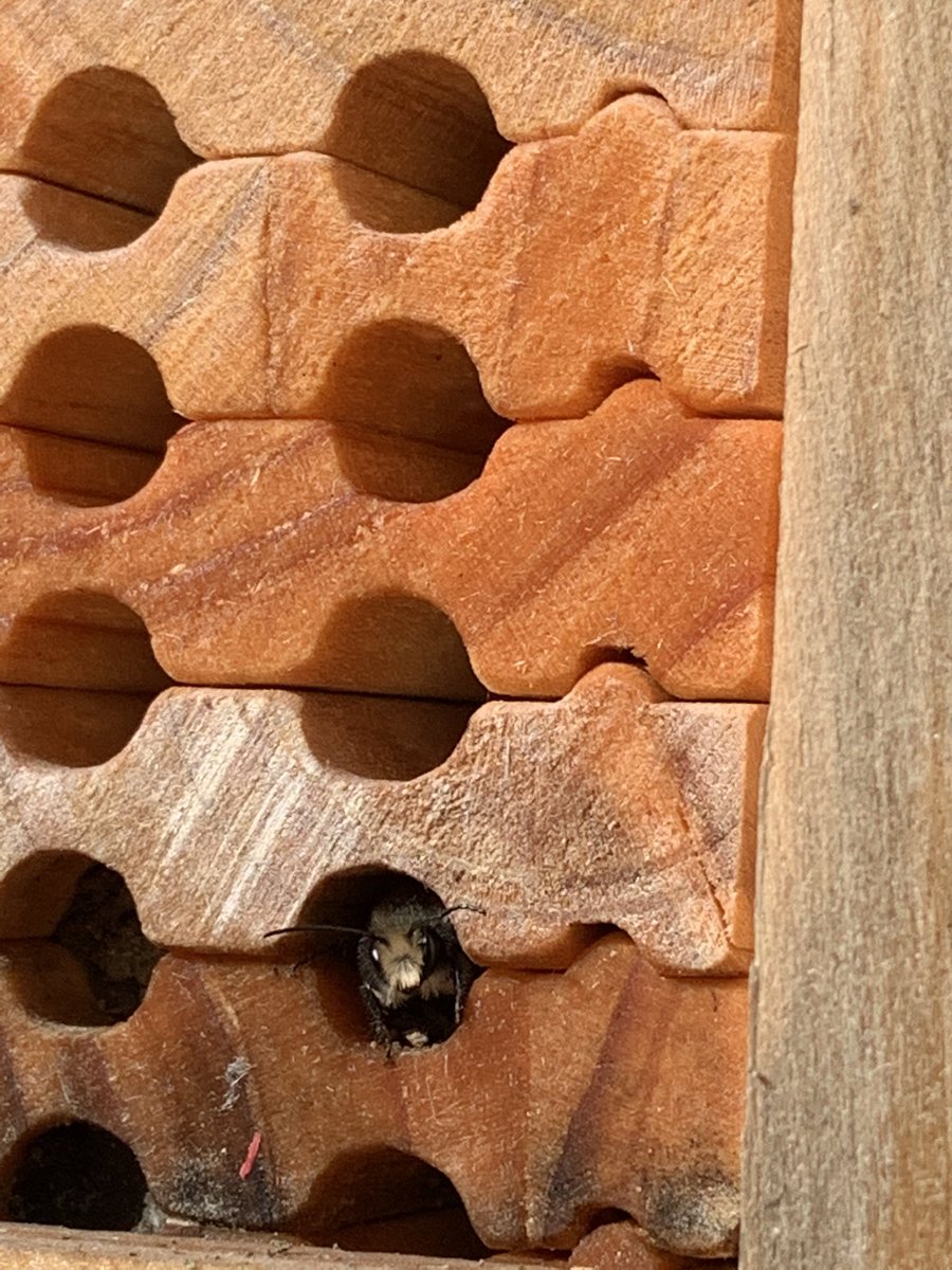 Sgt. Grandia 🇨🇦 tweet media