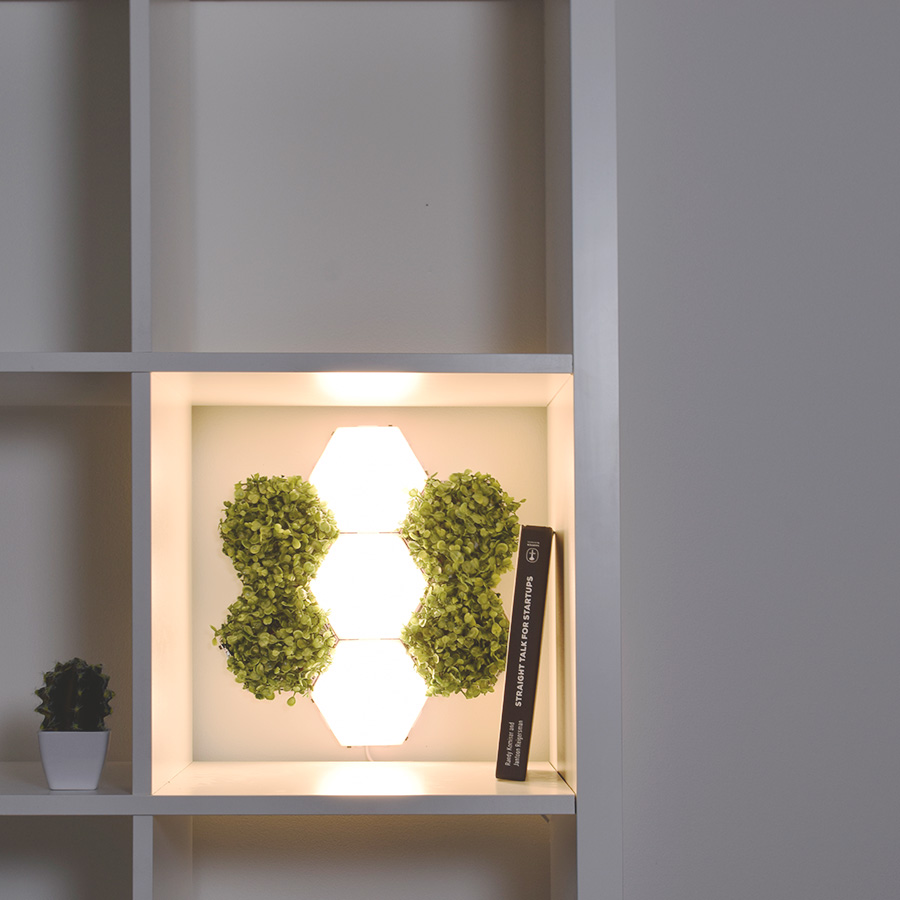 Polygonlights's tweet image. Green up your space. 

#wallplant #modularplant #greentile #polygonlights #bookshelf