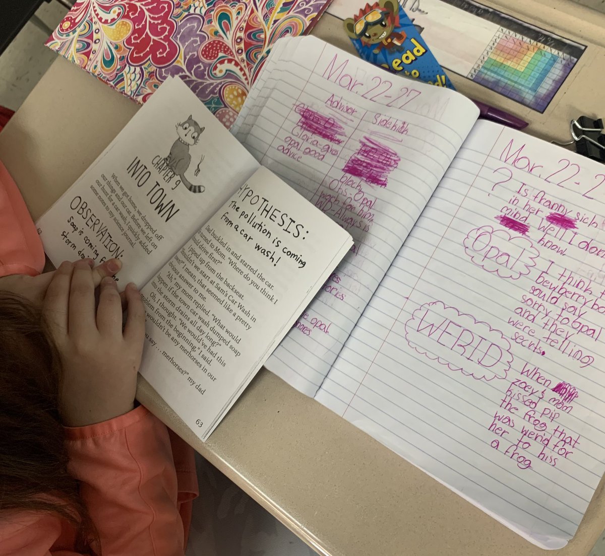 Lindsey Bowman tweet media