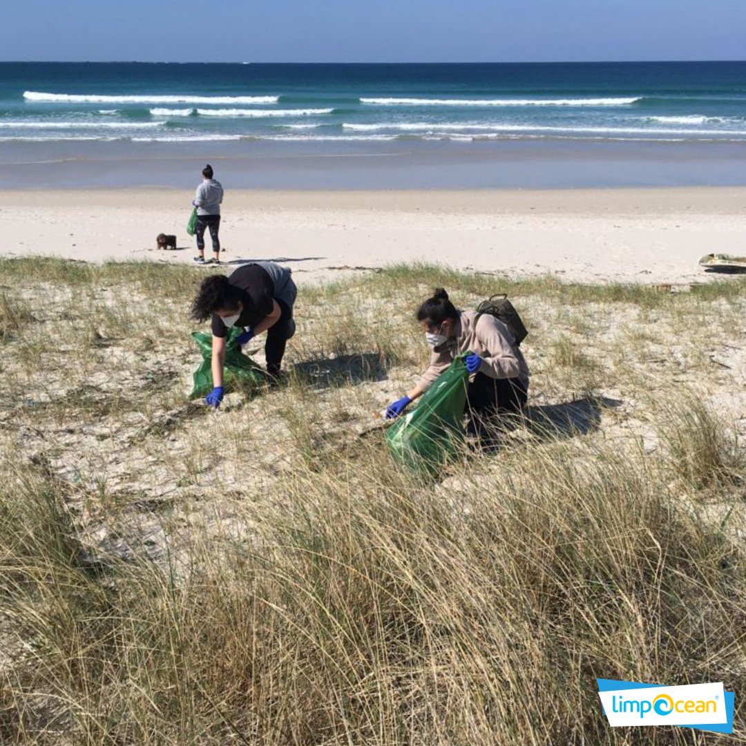 LimpOcean's tweet photo. 📸 Aquí os dejamos más fotos del evento de recogida de basuras marinas del pasado sábado en la Playa de Carnota 🏖.                                                            

#limpOcean #unmarlimpiodeplástico #limpiezadeplayas #Carnota #basuramarina https://t.co/YCUY2BAYf2