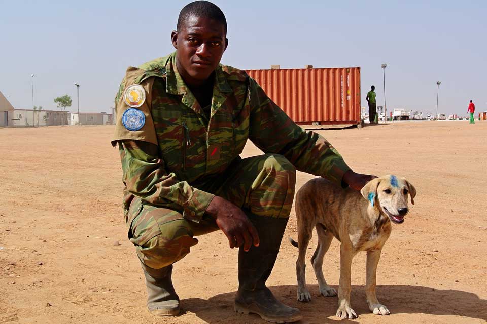 WrldFed4Animals's tweet photo. . #wildanimals &amp; #domesticatedanimals have long-suffered abuse, injury or death in armed conflicts. Janice Cox and Jackson Zee explore this history of harm, arguing that the #animalvictimsofwar require greater protection.
 @fourpawsint @detoxconflict 
https://t.co/3HDtWSkq3V https://t.co/ei3SOewaJB