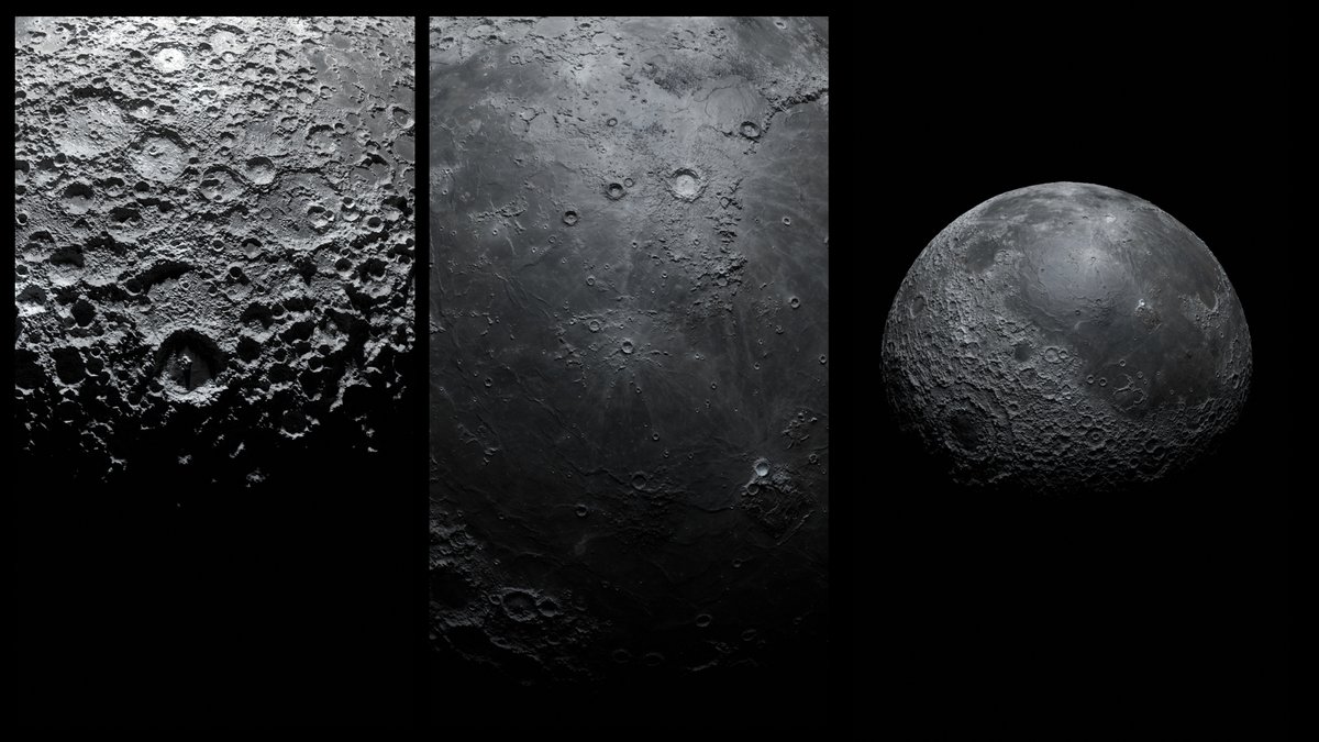 MarcGiacobbe's tweet photo. Textures close-ups from one of my latest animations for Sans Dieu. https://t.co/RK9v4V9usw