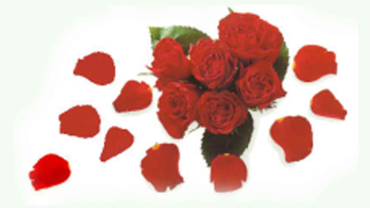 HappyMo04015488's tweet photo. Decorate room with flowers makes for partner to feel "I am welcomed" and give special feeling.
If you can't decorate well, just insert single flower to cup.
Important is to show partner that you have made an effort to create a romantic atmosphere.
#KamaSutraWay #KamaSutraimage https://t.co/rX5sLlkZoN