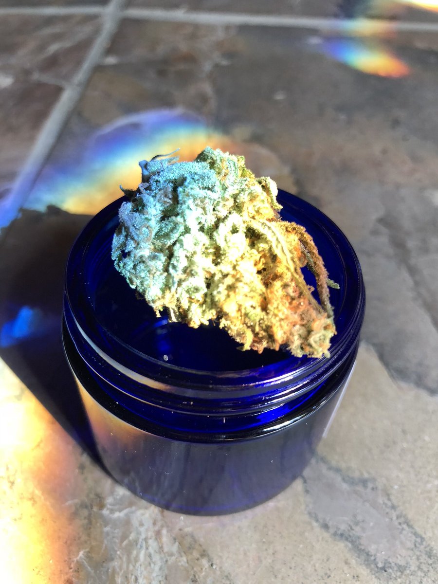 nycjamgal's tweet photo. It’s been a long, a long time coming ... but change is gonna come to #NYC. Excited for adult use to pass. Time to #LegalizeIt for ALL. #MRTA #SampleInAJar 🔥🔛 https://t.co/AQVgaHyFRG