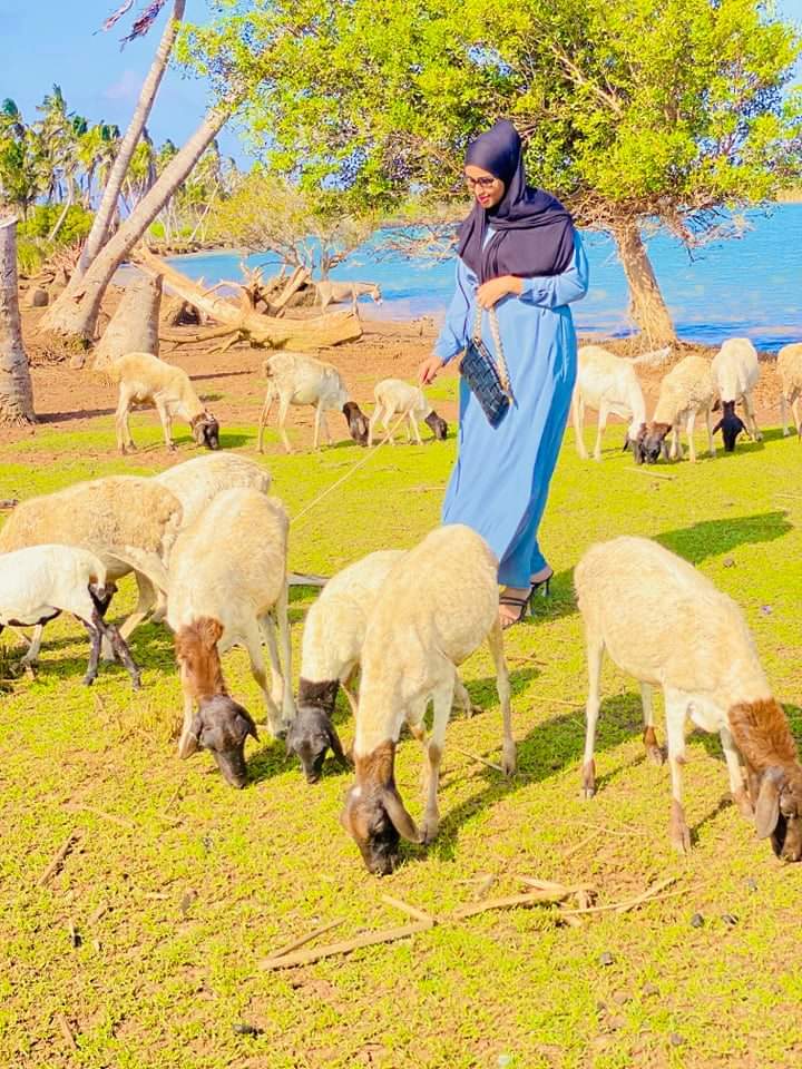 IbrozC's tweet photo. Xaynta soo rog.

#gobwayn_JL_SOMALIA https://t.co/g3sM0Oky7v