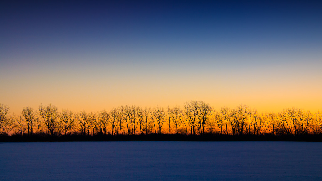dandenardo's tweet photo. There are times when trees *without* leaves can be exceptionally beautiful. Like during the "blue hour" after sunset. Have a great day. #thebluehour #fiftyshades_of_nature @TNCMichigan #GreatLakes https://t.co/1tJ6pLoR74