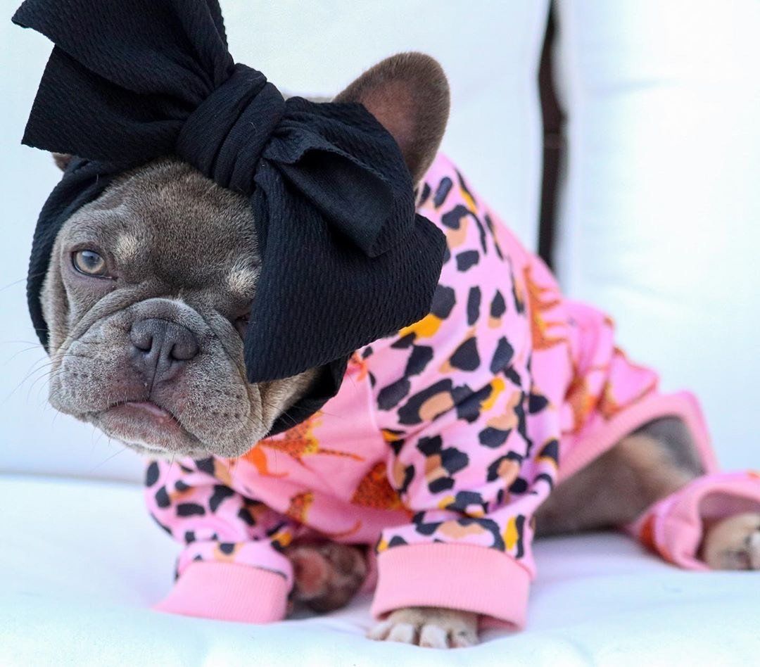 FrenchBull_Dog_'s tweet photo. French Bulldog Pajamas | Frenchie Clothing | Wild One #frenchbulldog #ilovemydog #french #apparel #threads #wild #wildone #topdog #ilovedogs #bestwoof #pajamas #frenchie

https://t.co/gwuPRFR5rm https://t.co/6MFB3xnv1f