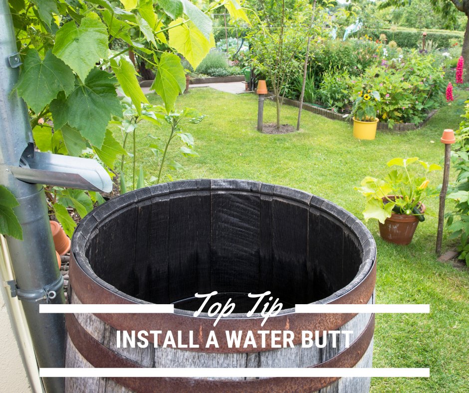Community Lincs (@community_lincs) on Twitter photo Add a water butt to your drainpipe and use it to water your plants, clean your car and wash your windows.
A water butt can collect around 5,000 litres a year!
#WaterSmart #WaterWise <a href="/AnglianWater/">Anglian Water</a> Add a water butt to your drainpipe and use it to water your plants, clean your car and wash your windows.
A water butt can collect around 5,000 litres a year!
#WaterSmart #WaterWise <a href="/AnglianWater/">Anglian Water</a>