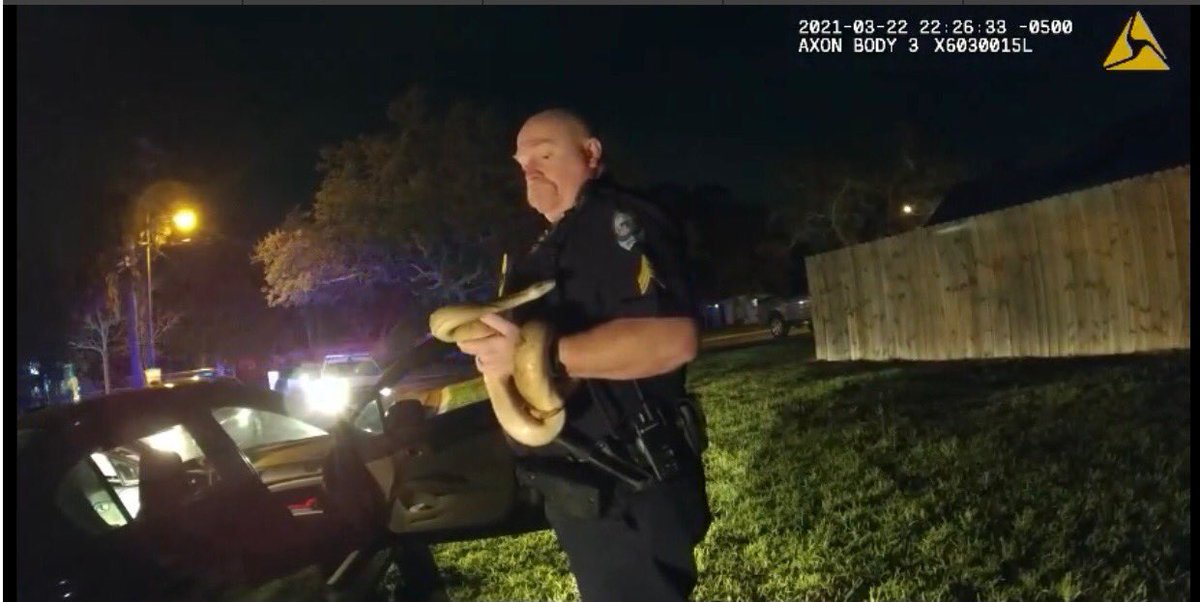FortWaltonBchPD's tweet photo. Last night we learned the term “Emotional Support Snake” on a DUI traffic stop.
...and no, the snake was not driving.
#BodyCamBoas #SirPutTheSnakeDown #CivilSerpent #DUI #Police #FWBAfterDark #CharlieShift https://t.co/g1X3j30BLV