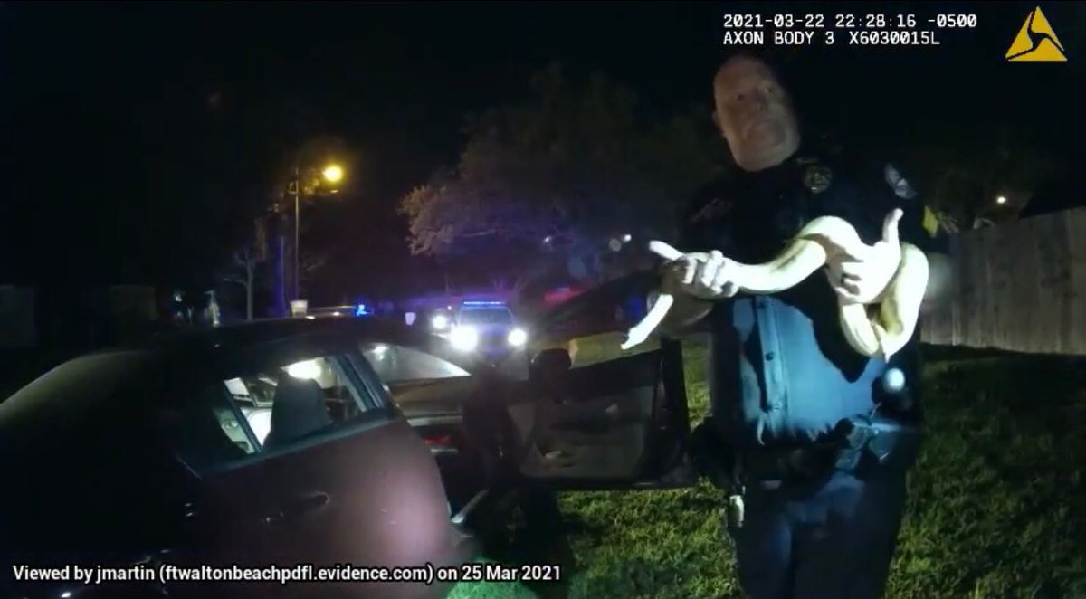 FortWaltonBchPD's tweet photo. Last night we learned the term “Emotional Support Snake” on a DUI traffic stop.
...and no, the snake was not driving.
#BodyCamBoas #SirPutTheSnakeDown #CivilSerpent #DUI #Police #FWBAfterDark #CharlieShift https://t.co/g1X3j30BLV