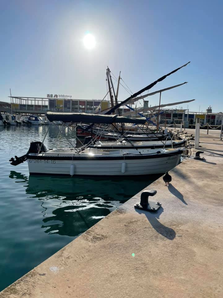 Port Segur-Calafell tweet media