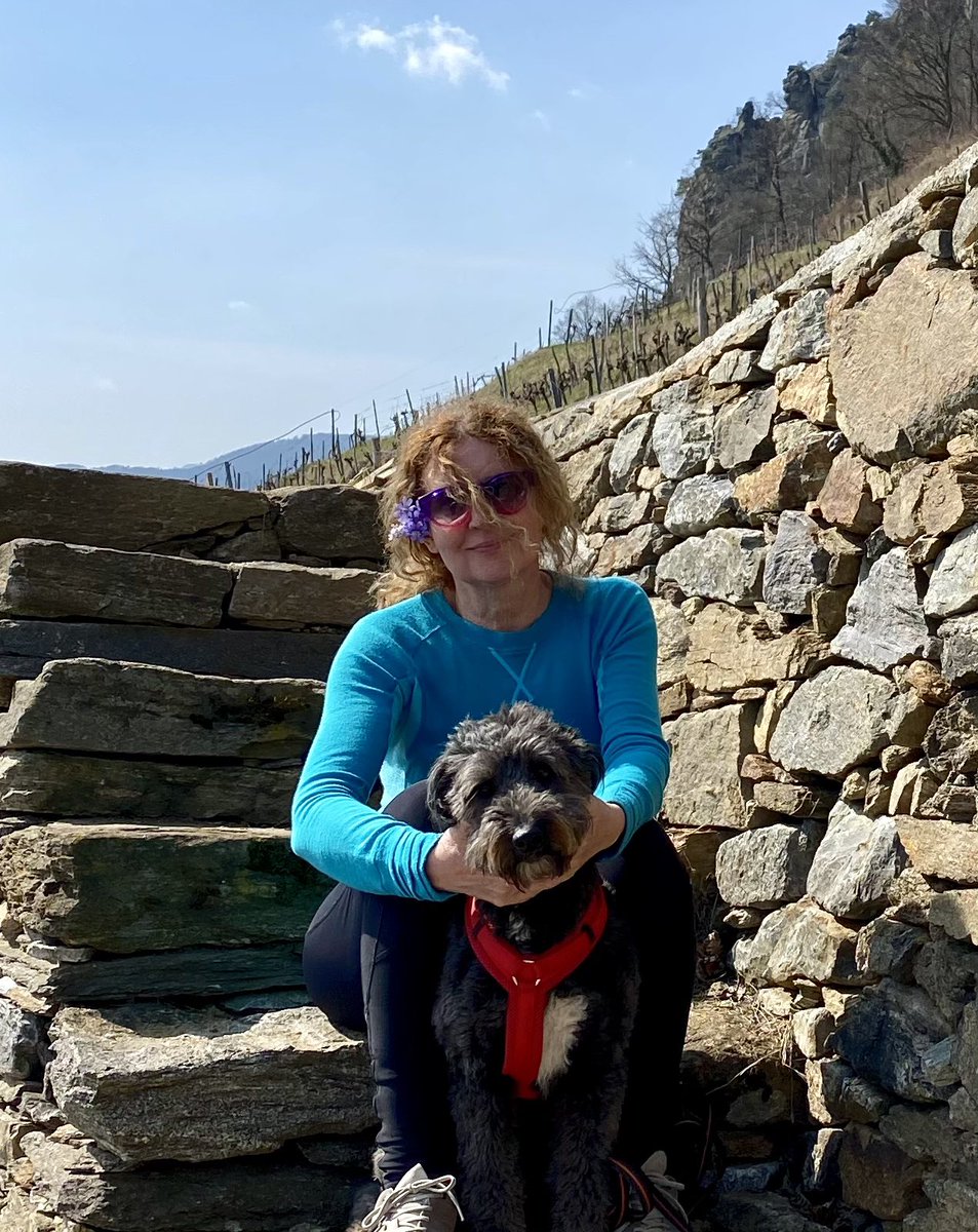 _Tanja14's tweet photo. Otvorili #hiking sezonu napokon.
A gde bih ja prvo nego na Dunav i u vinograd.
#myperfectday https://t.co/72A21tBpyW