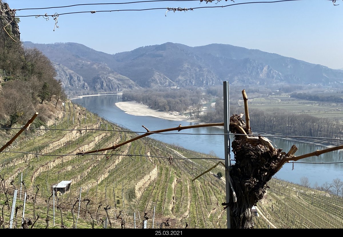 _Tanja14's tweet photo. Otvorili #hiking sezonu napokon.
A gde bih ja prvo nego na Dunav i u vinograd.
#myperfectday https://t.co/72A21tBpyW
