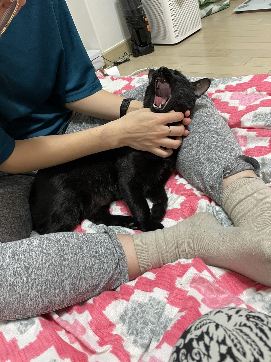 벌써부터 맷새쥐에맛들리다니