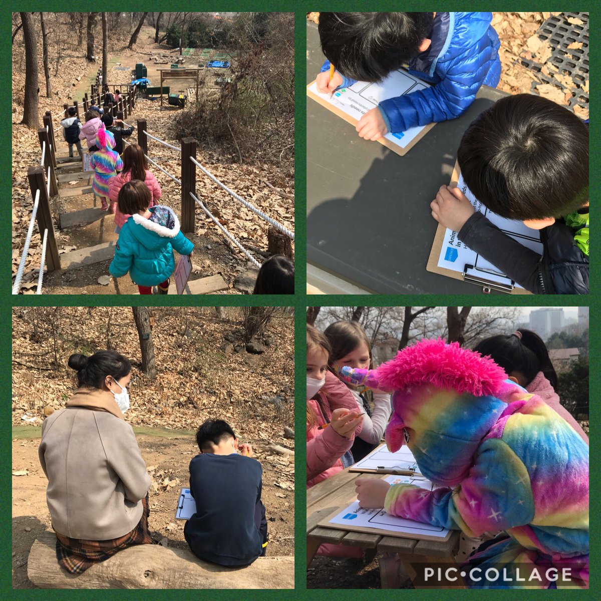 nikkistrecker's tweet photo. Our Kinder Ss were on the hunt today observing the needs &amp; wants of the animals and plants that share our space in the eco-hotspot.  Next up, ideating on what we can build to help them survive &amp; thrive.  Lucky us; we even spotted a rare unicorn at work. 🤣 #kispride @Hello123MJ https://t.co/k5qMFc64xA