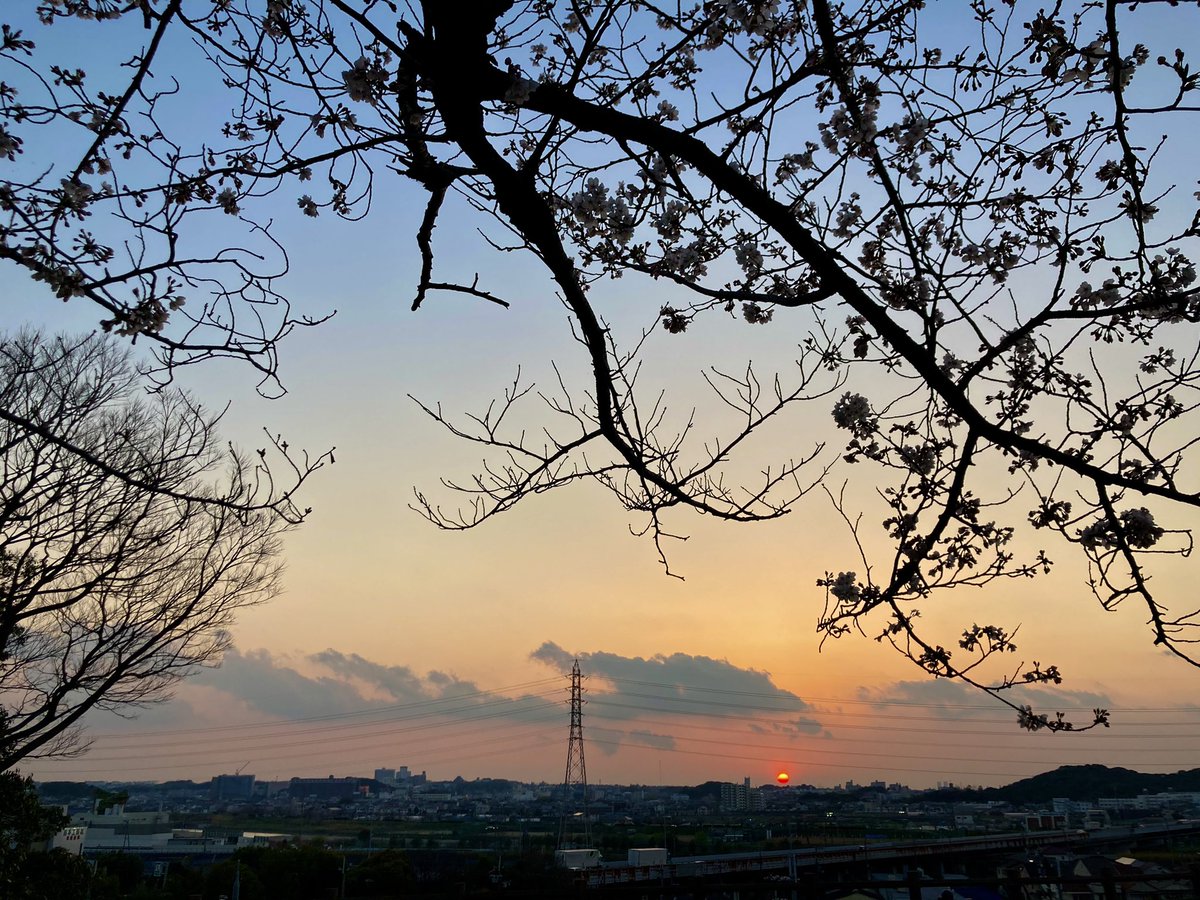 tuttini2269's tweet photo. 2021.3.25 THU
木曜ナイトラン。
今日も走れた自分に感謝。
https://t.co/kuoss9aa5M
#幡ヶ谷再生大学陸上部
#幡ヶ谷再生大学陸上部奈良
#MOBSTYLES
#PEACE_AND_MOSH
#epicreactflyknit2
#エピックリアクトフライニット2
#僕のナイキ
#開脚チャレンジ 48日目
#ヨガかじってるおじさん https://t.co/Km5fDF2iGH