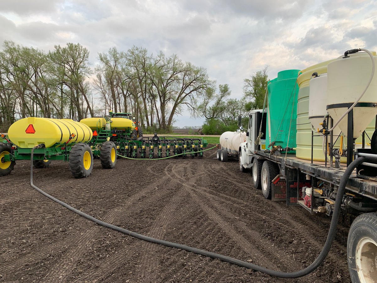 Schuster Seed tweet media