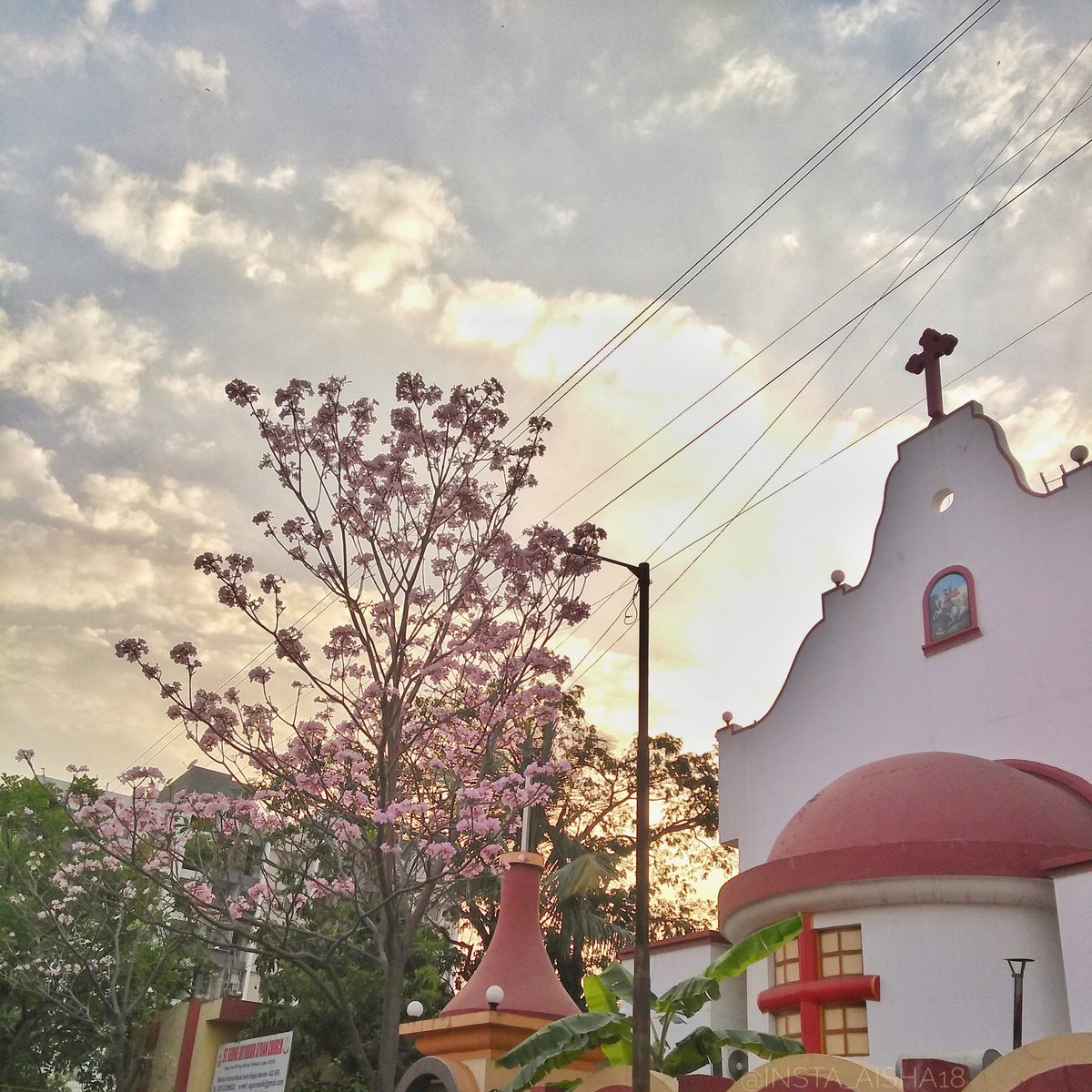AishDesai18's tweet photo. Colorful Summer Evenings ❤️
#nashik #maharastra https://t.co/LzbaGO1glC