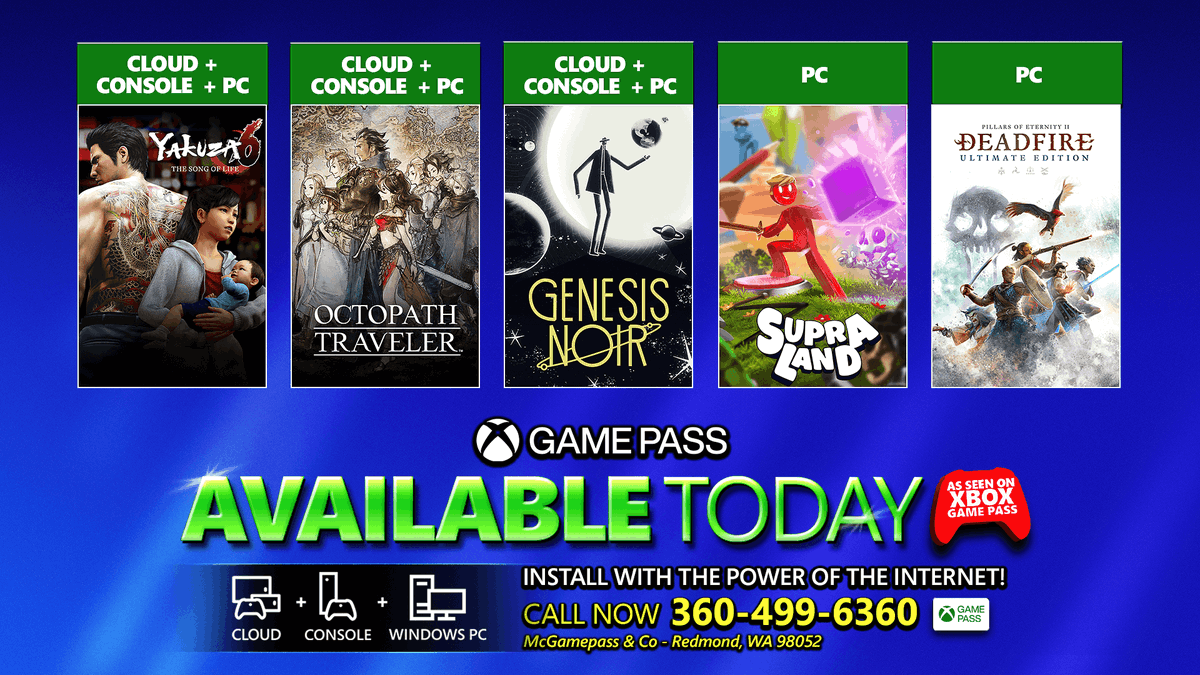 pillars of eternity definitive edition how install