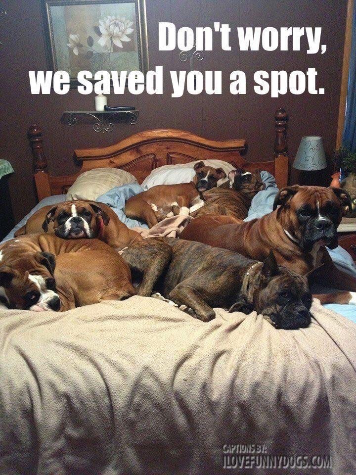 We saved you a spot