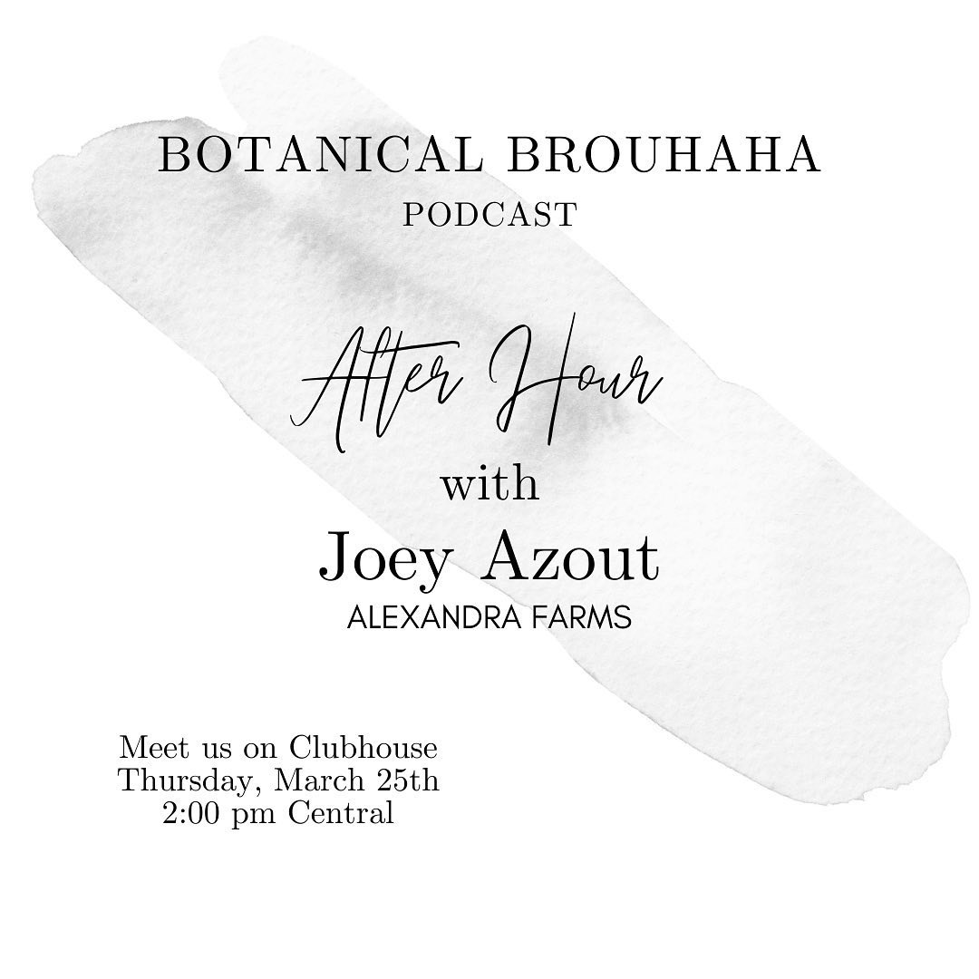 Join us and @botanicalbrouhaha today to talk garden roses on a Clubhouse Q&amp;A at 2 p.m. CST! If you're a floral designer who loves garden roses, this one's for you! Questions on conditioning, care, varieties, shipments, something else? We've got an answer! bit.ly/3rkVZqF