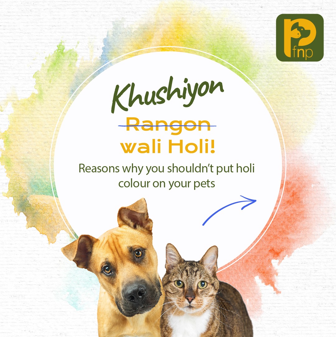 FNPPETS's tweet photo. Now you know! Spare the street dogs as well as your pet this Holi and make this festival super fun for them too. Stay tuned to know some exciting games and recipes, made specially for your furry friends! 

#pets #petfriendly #holi #holi2021 #petsofindia #petsarefamily #petparent https://t.co/CJQcf7TXVL