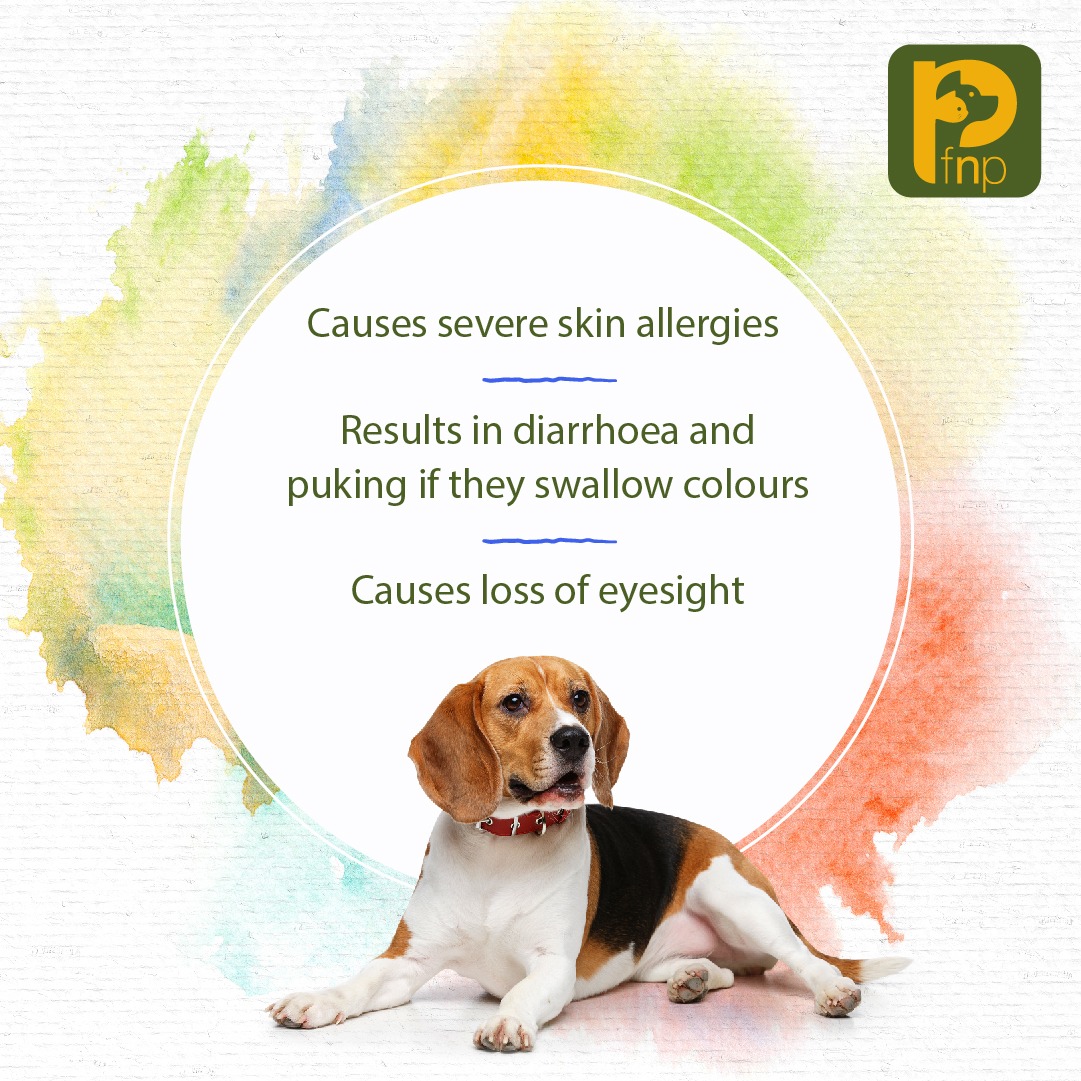 FNPPETS's tweet photo. Now you know! Spare the street dogs as well as your pet this Holi and make this festival super fun for them too. Stay tuned to know some exciting games and recipes, made specially for your furry friends! 

#pets #petfriendly #holi #holi2021 #petsofindia #petsarefamily #petparent https://t.co/CJQcf7TXVL