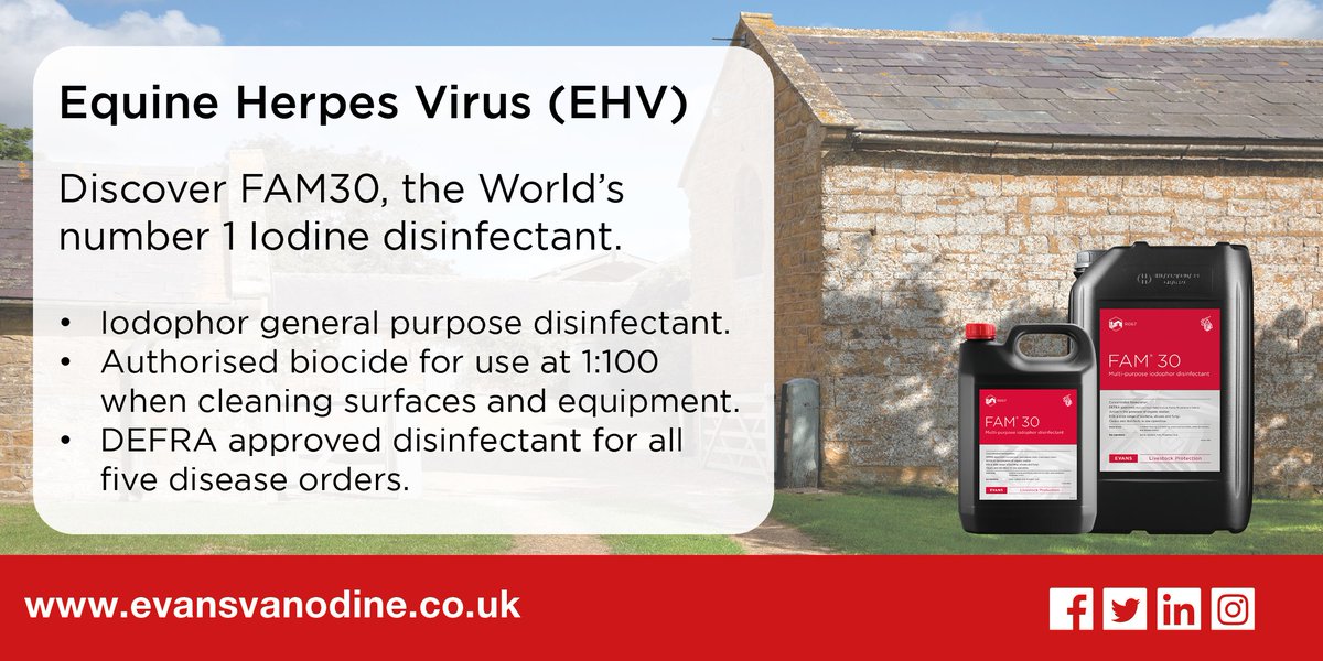 evansvanodine's tweet photo. Discover our recommendations for Equine Herpes Virus here: https://t.co/uVg6WbBhHn

#equineherpesvirus #biosecurity #equine #EHV #AnimalHealth #Livestockprotection #EquineHealth #EquineBiosecurity #agriculture #disinfection #infectionprevention #hygiene #cleaning  #FAM30 #iodine https://t.co/fzGhnqRo42