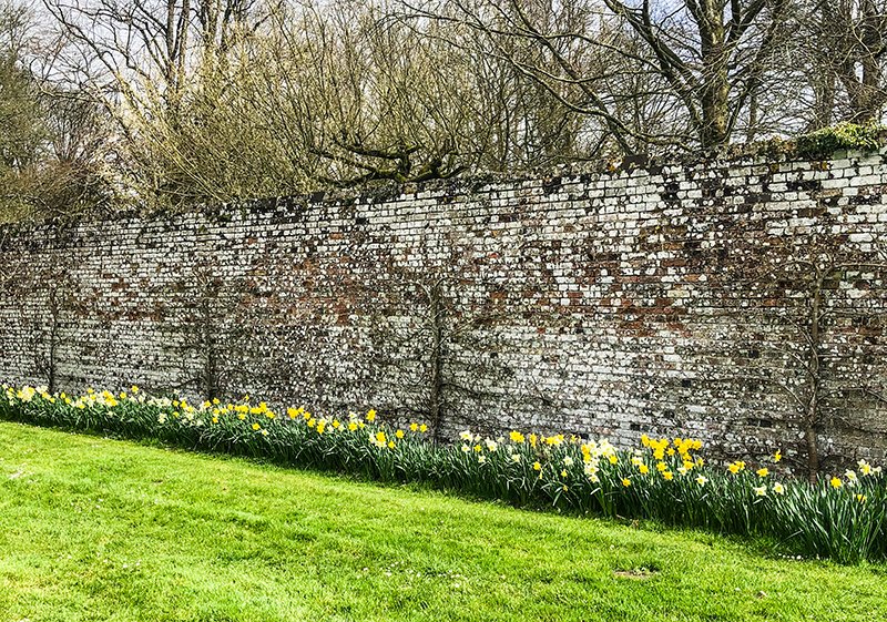 Easter Sunday Feast for the Family - mailchi.mp/pythousekitche…