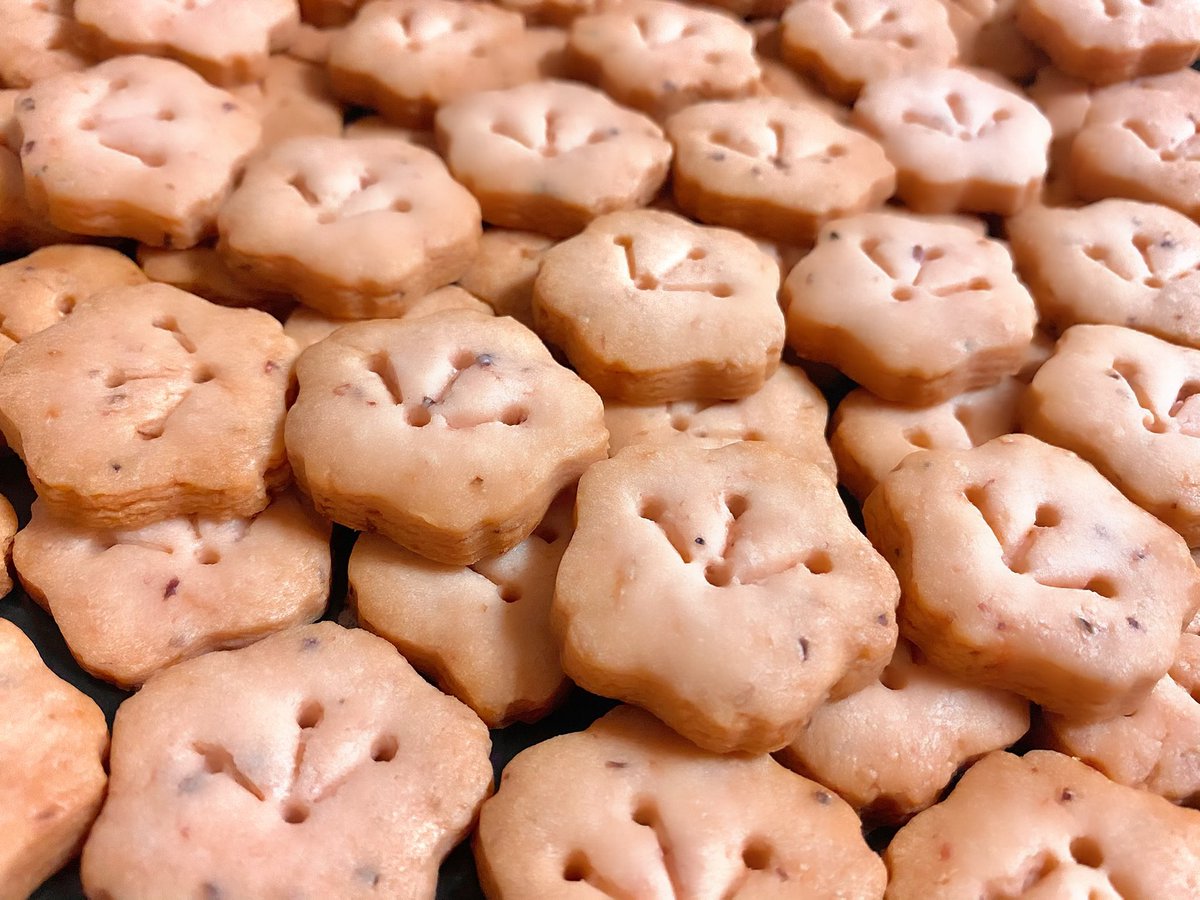 やってるやってる