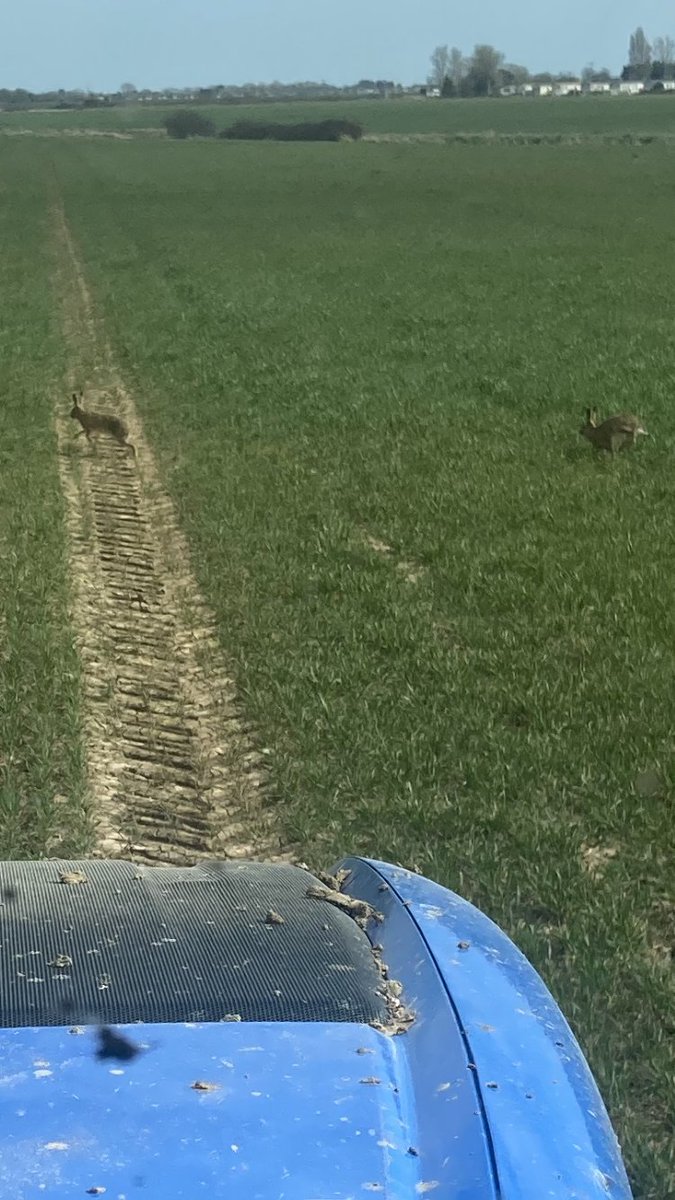 Guy Smith tweet media