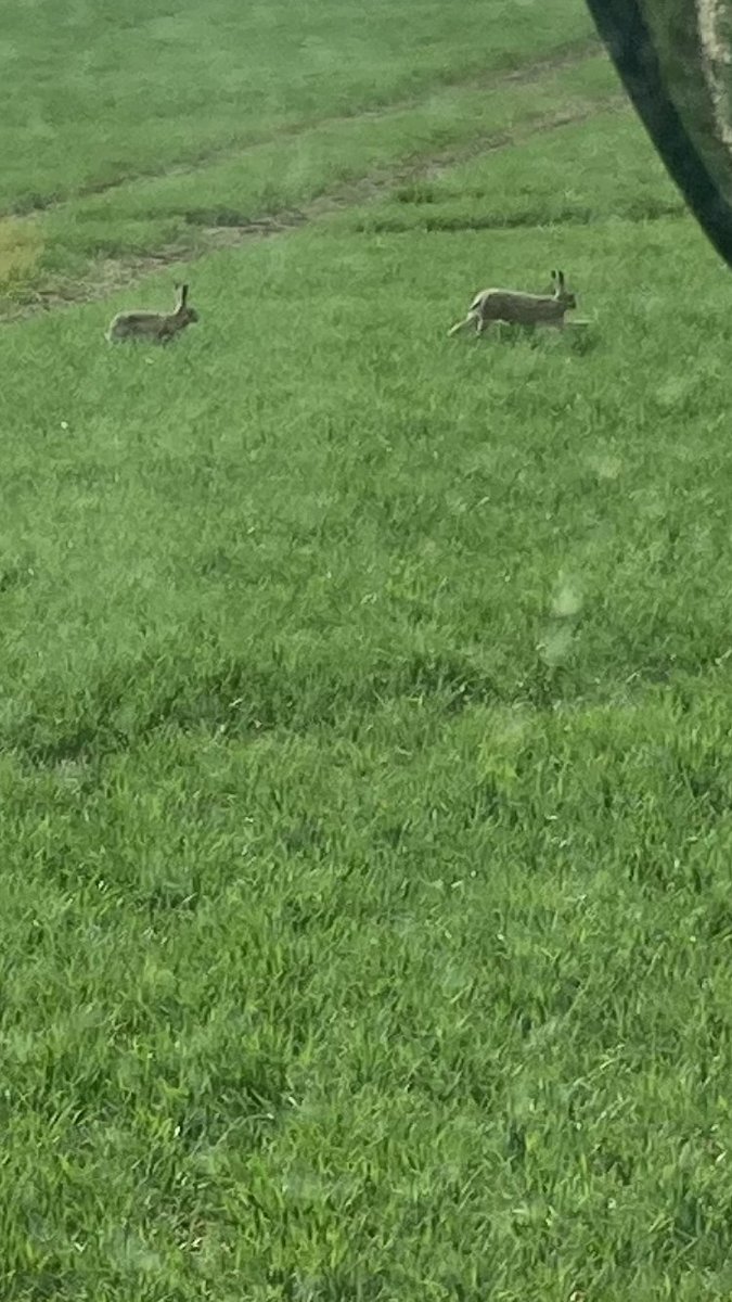 Guy Smith tweet media