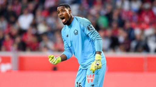 transfertfoot4's tweet photo. Maignan successeur de Lloris en France et peut-être successeur au spurs!!!⚪️⚪️ https://t.co/Jgsp5y4bcf