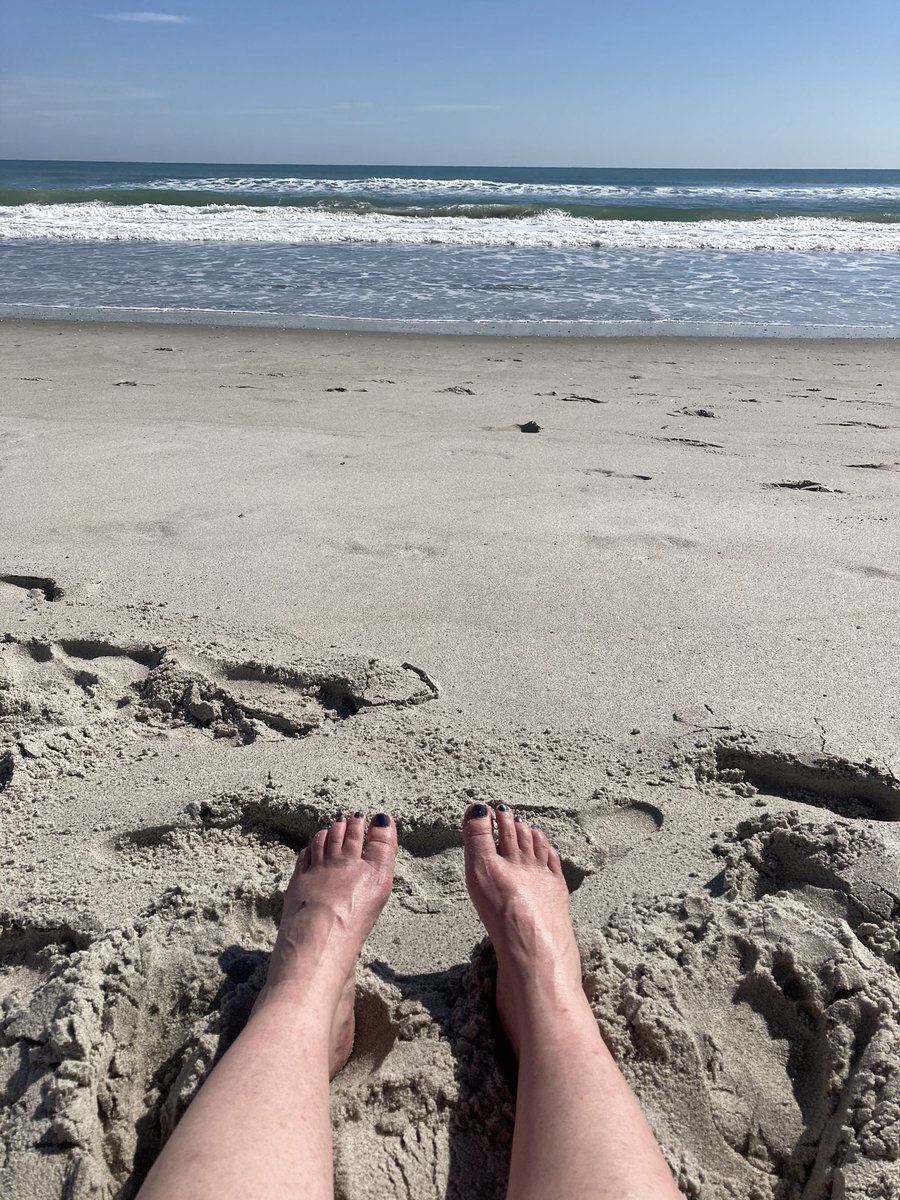 kwjames94's tweet photo. What a great week for relaxing with my buddies! #melbournebeach https://t.co/PDfuTiuVPq
