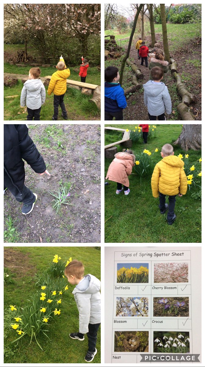 SomervilleNurs2's tweet photo. Today we have been on a spring walk and founds lots of lovely Spring trees and flowers. 🌿🌷🌸 https://t.co/LAqaFJSUX1