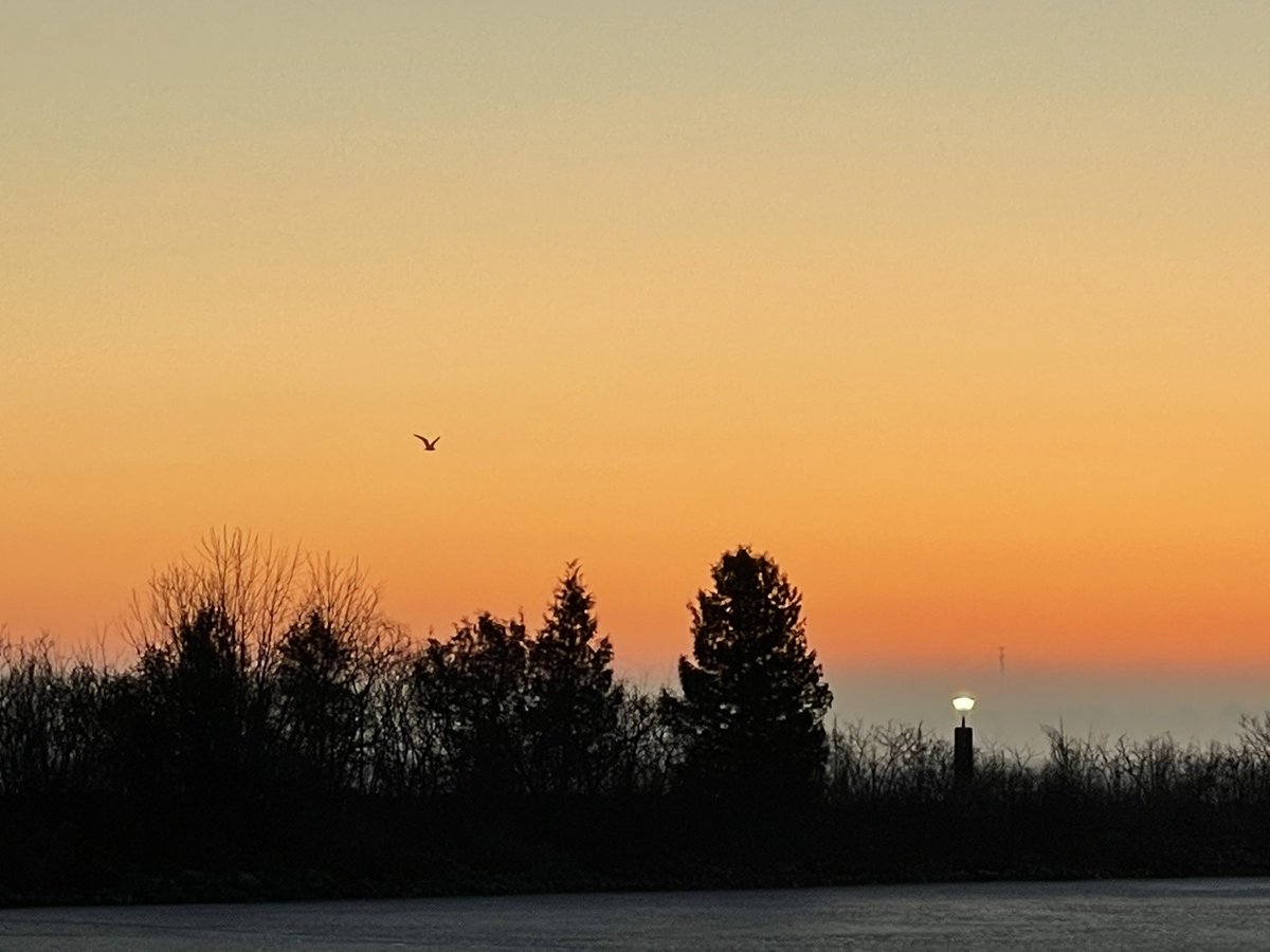 OrilliaYC's tweet photo. What a start to the day. See everyone at 2pm for drop in fun. Lots of upcoming opportunities including a special Easter activity and Mother’s Day project. Speak to Staff for all the information.
#orillia #youth #orilliayouthcentre #thursday #dropin #joinus #upcomingprograms https://t.co/3gMD6Id94f