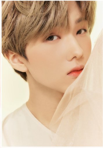 NCTDREAMCENTER's tweet image. 210325 #JISUNG for NCT DREAM X CANDYLAB "FULL BLOOM" COLLECTION
candylab.co.kr

#NCTDREAMxCandyLab #FULLBLOOM
#NCTDREAM @NCTsmtown_DREAM