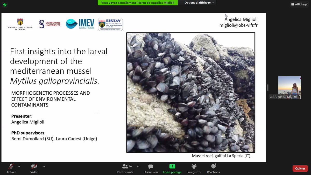 BIOM (@biom80075242) on Twitter photo Now Angelica MIGLIOLI from Villefranche sur Mer presents us at #JAP the larval development of Mytilus Now Angelica MIGLIOLI from Villefranche sur Mer presents us at #JAP the larval development of Mytilus